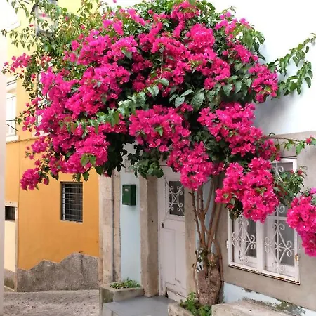 Proa D'alfama Lägenhet *