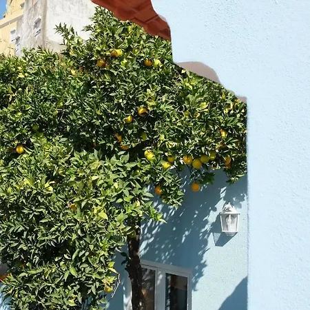 Apartment Proa D'alfama *
