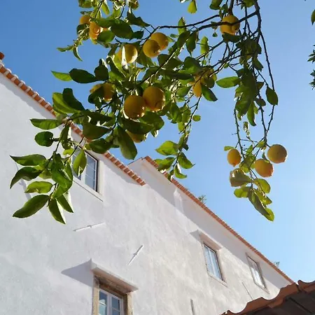 普罗呀阿尔法玛旅馆 *