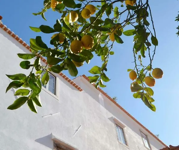 Proa D'alfama *